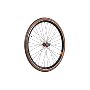 Leviathan Alloy - Disc Brake - 32/32 Spoke
