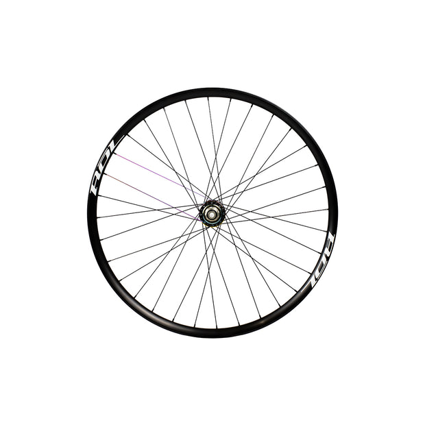 RATTLER ALL MOUNTAIN